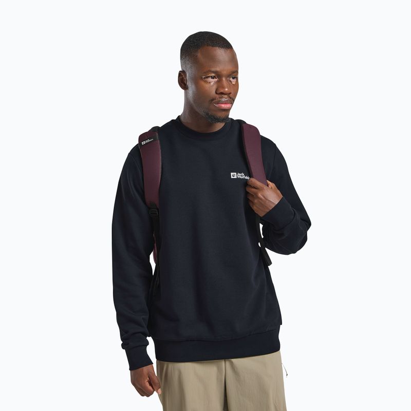 Plecak miejski Jack Wolfskin Terracade 24 l amaranth 11