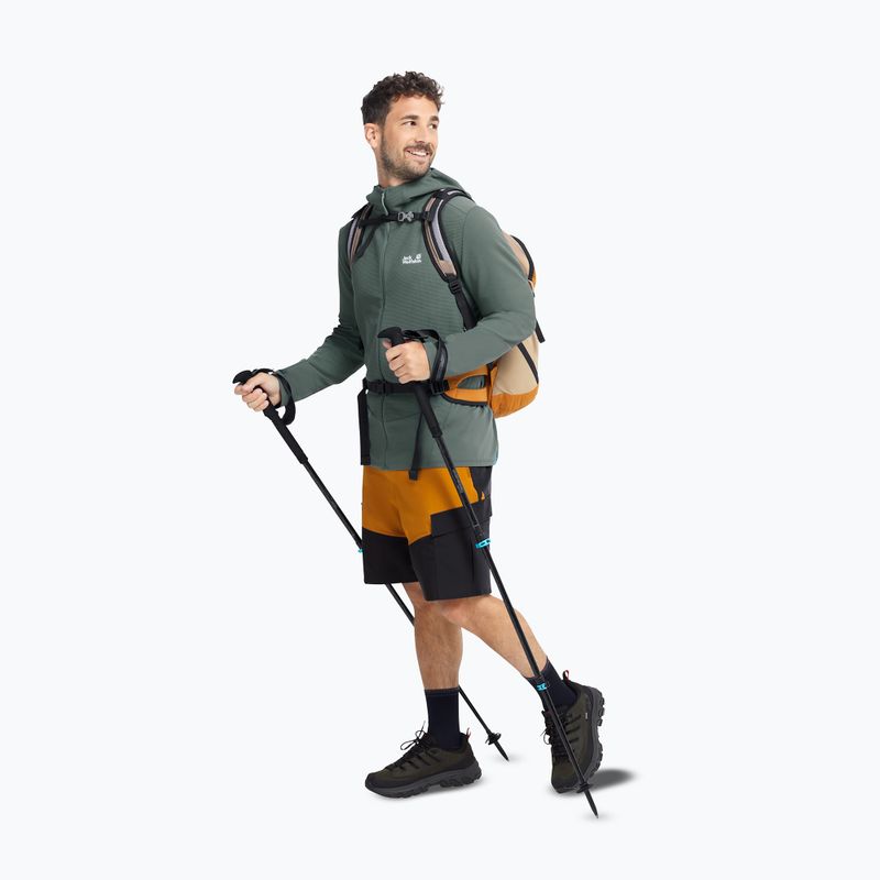 Buty trekkingowe męskie Jack Wolfskin Apex Hike Texapore Low obsidian moss 7