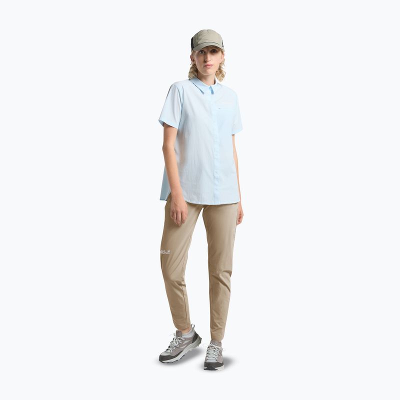 Spodnie trekkingowe damskie Jack Wolfskin Hikeout hazel wood 2