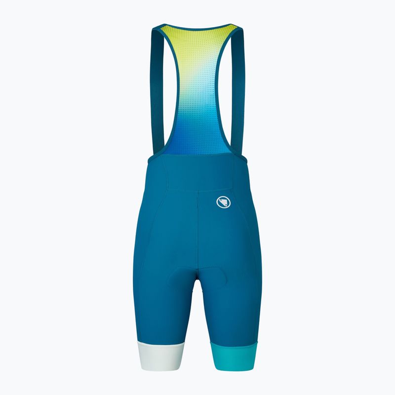 Spodenki rowerowe męskie Endura Loop Bibshort barra blue 5