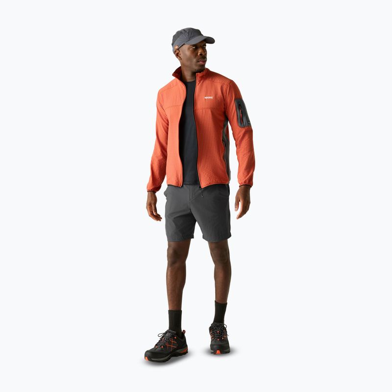 Spodenki trekkingowe męskie REGATTA Anti Insect Travel Light ash 2