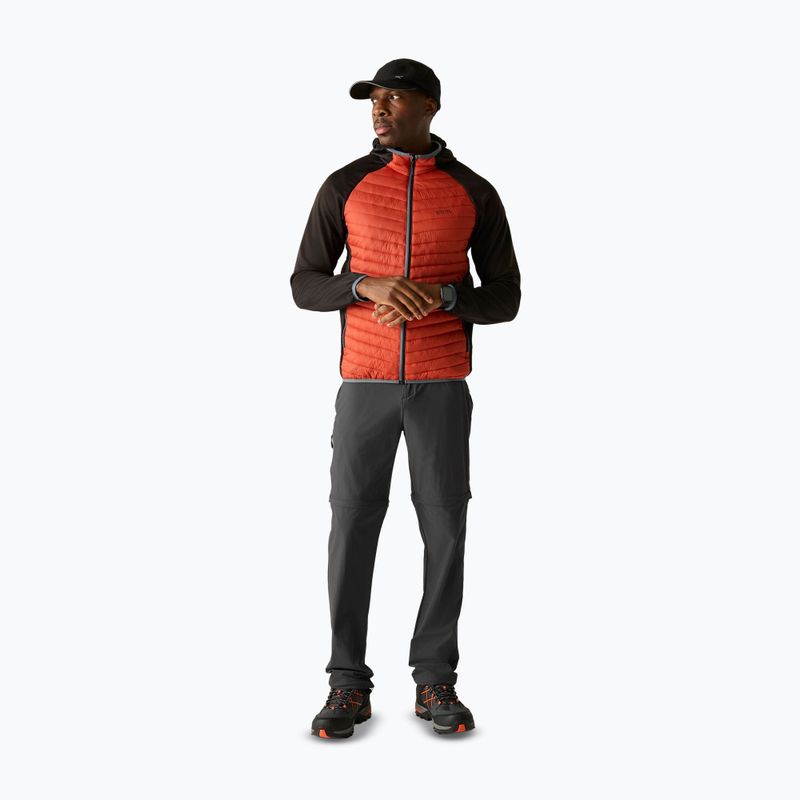 Spodnie trekkingowe męskie REGATTA Anti Insect Travel Light ash 2