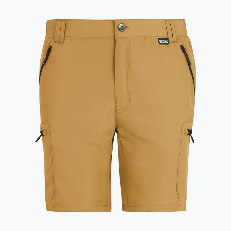 Spodenki trekkingowe męskie REGATTA Leesville III wood brown 6