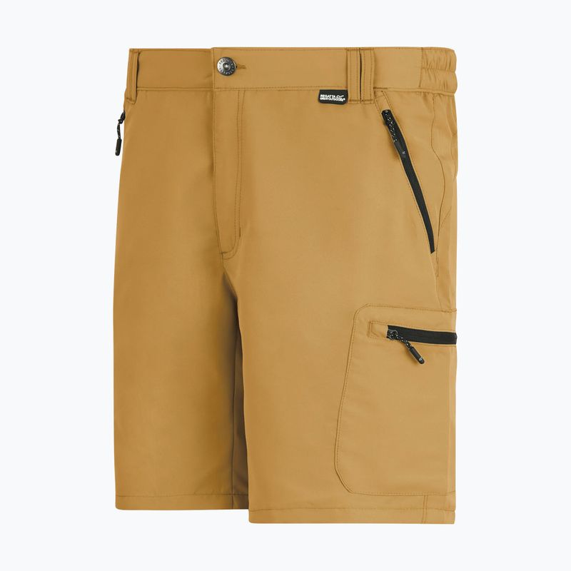 Spodenki trekkingowe męskie REGATTA Leesville III wood brown 8