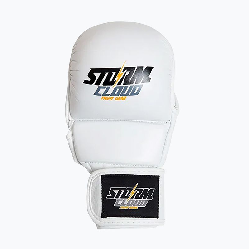 Rękawice grapplingowe StormCloud Hurricane white/black 2