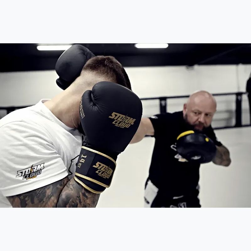Rękawice bokserskie StormCloud Boxing Pro black/gold 12