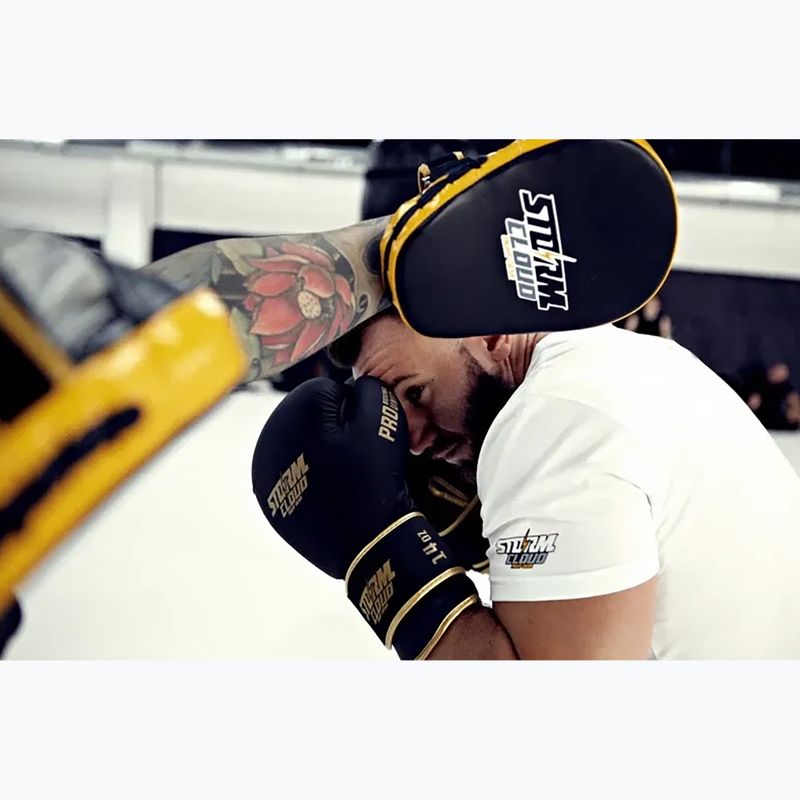 Rękawice bokserskie StormCloud Boxing Pro black/gold 14