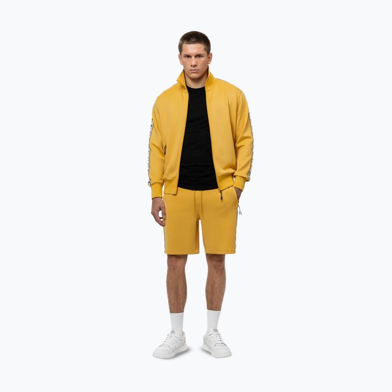 Bluza męska Pitbull Track Jacket Powers pale yellow 2