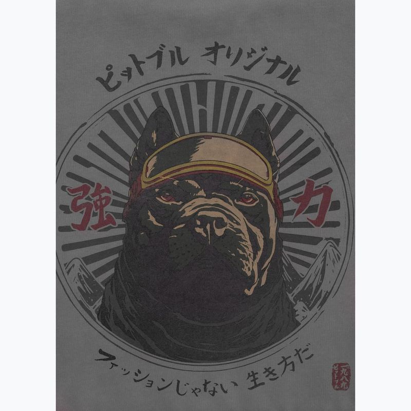 Bluza męska Pitbull Mt Fuji Crewneck Sweatshirt washed grey 6