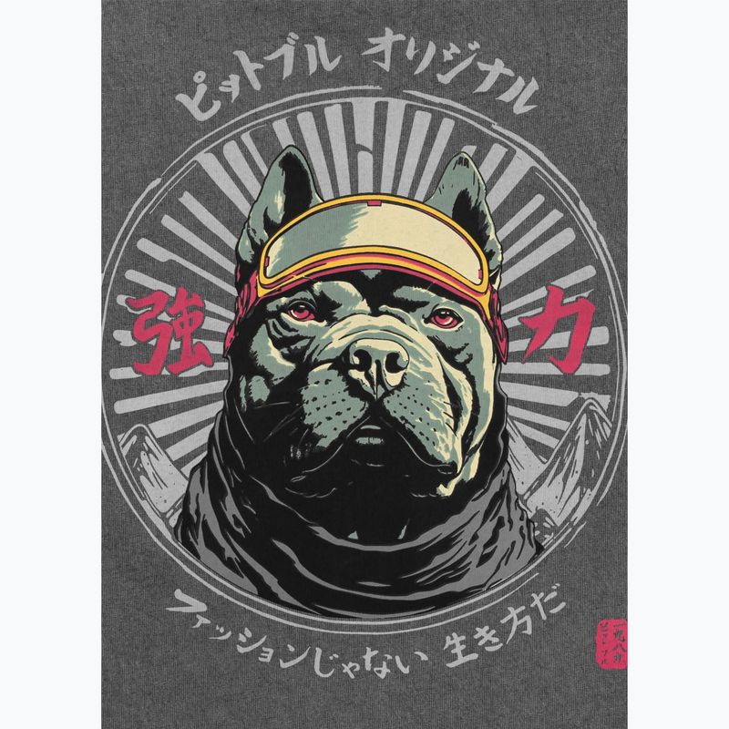 Koszulka męska Pitbull Mt. Fuji washed grey 5