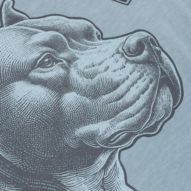Koszulka męska Pitbull Pacyfic blue 10
