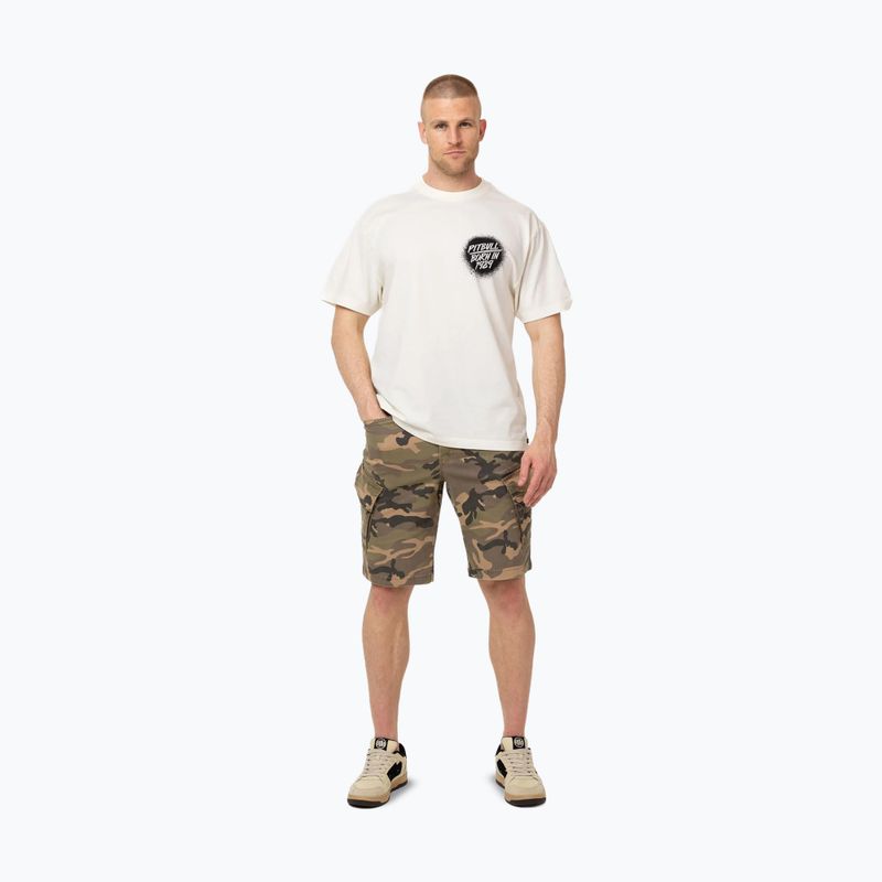 Koszulka męska Pitbull Graffiti off white 2