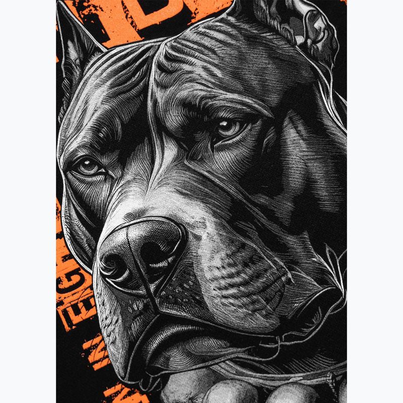 Bluza męska Pitbull Crewneck Blacky black 10