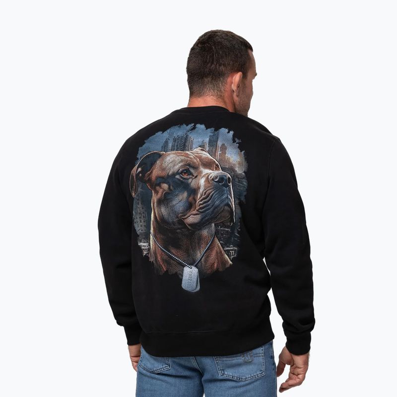 Bluza męska Pitbull Crewneck Hero black 3