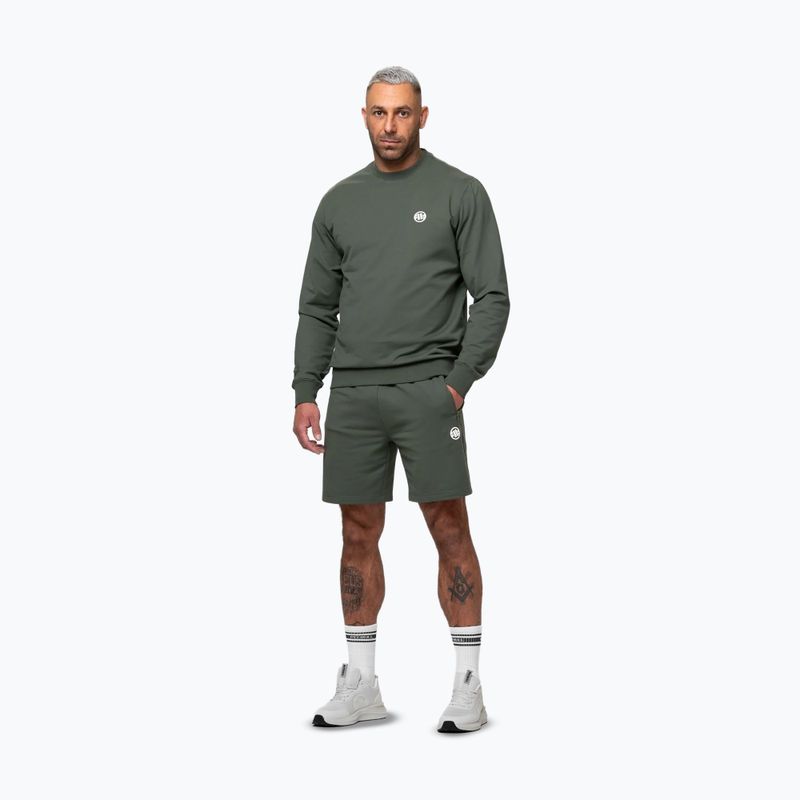 Spodenki męskie Pitbull Nugget Small Logo sage green 2