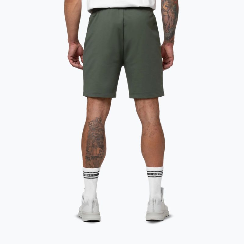 Spodenki męskie Pitbull Nugget Small Logo sage green 3