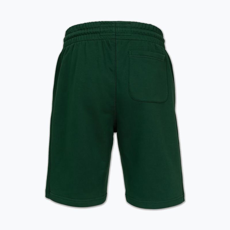 Spodenki męskie Pitbull Badger hunter green 5