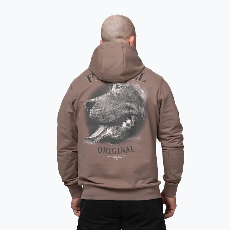 Bluza męska Pitbull Midnight Sweatshirt Hooded brown savana 3