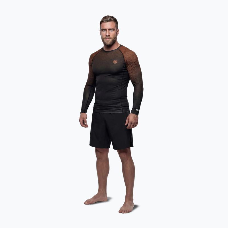 Rashguard longsleeve męski Pitbull Belt Rashguard brown 2