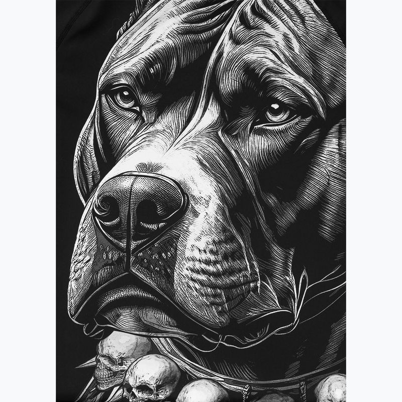 Rashguard męski Pitbull Blacky Rashguard black 9