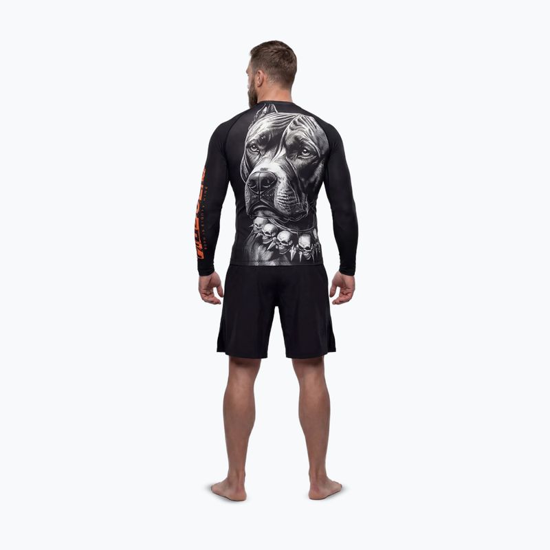 Rashguard longsleeve męski Pitbull Blacky Rashguard 3