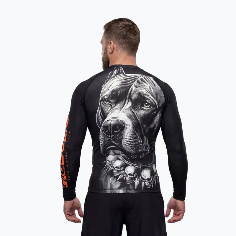 Rashguard longsleeve męski Pitbull Blacky Rashguard 4