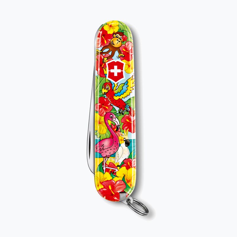 Scyzoryk Victorinox My First Victorinox Parrot multicolor 3