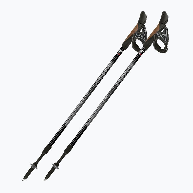 Kije nordic walking Fizan Speed black