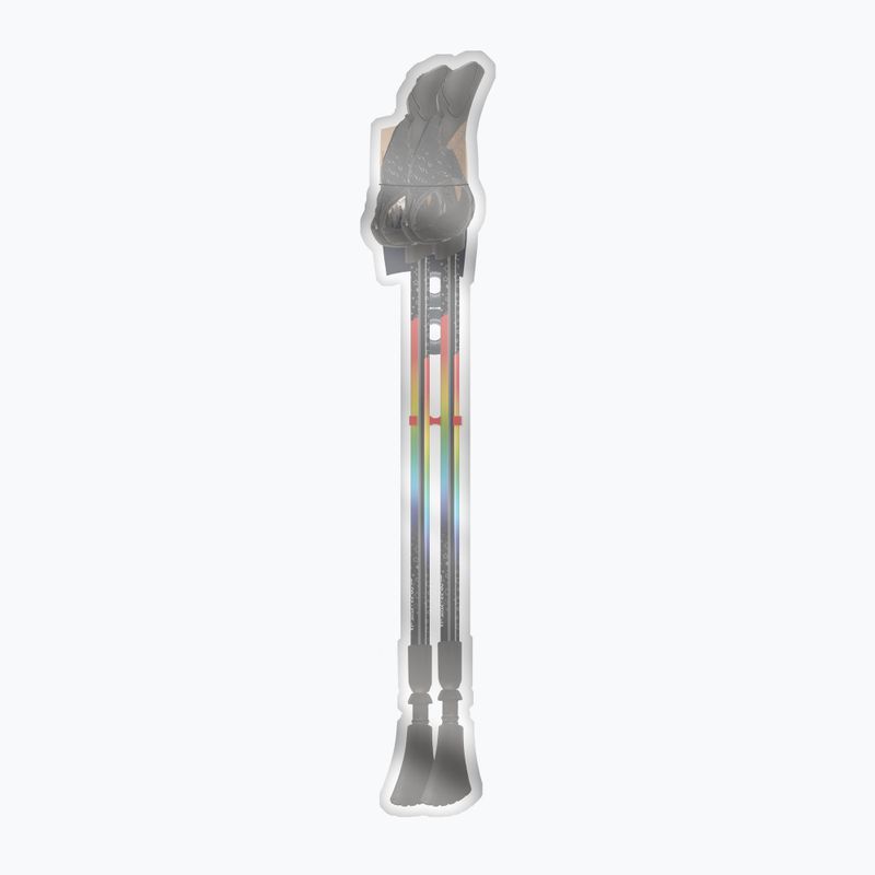 Kije nordic walking Fizan Speed Junior rainbow 4