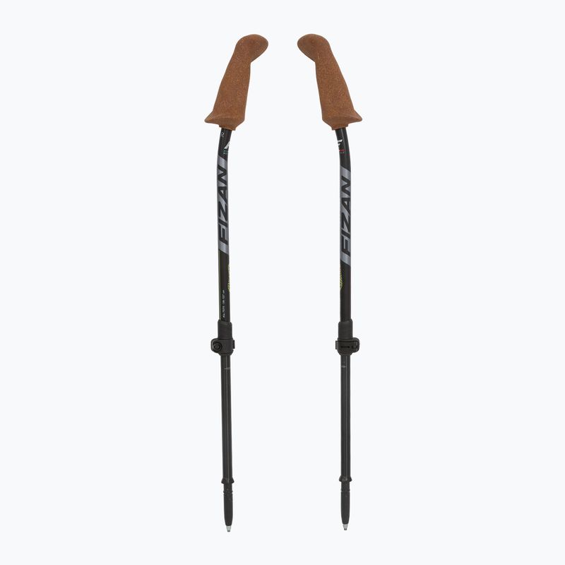 Kije nordic walking Fizan Walx Xplorer grey 5