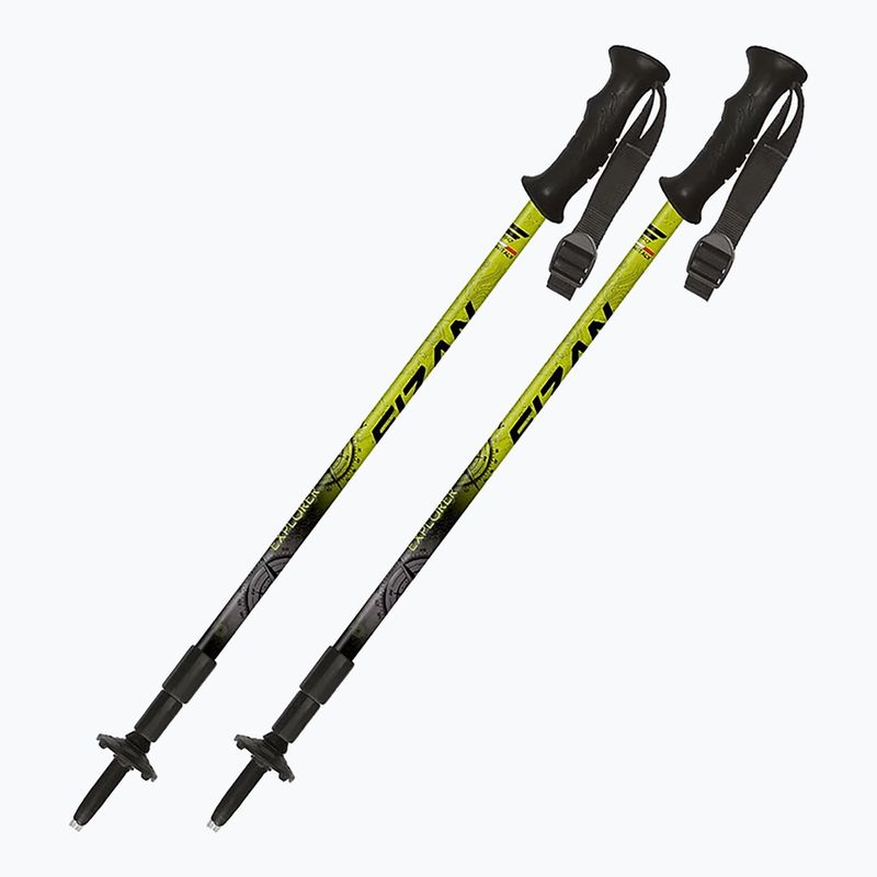 Kije trekkingowe Fizan Explorer lime/gray 8