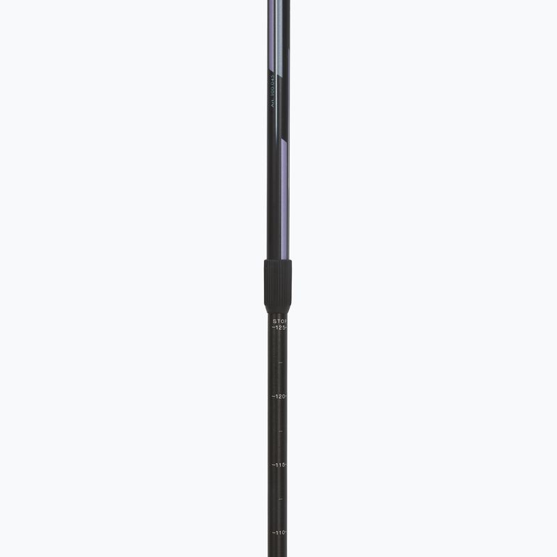 Kije nordic walking Fizan Speed violet 4