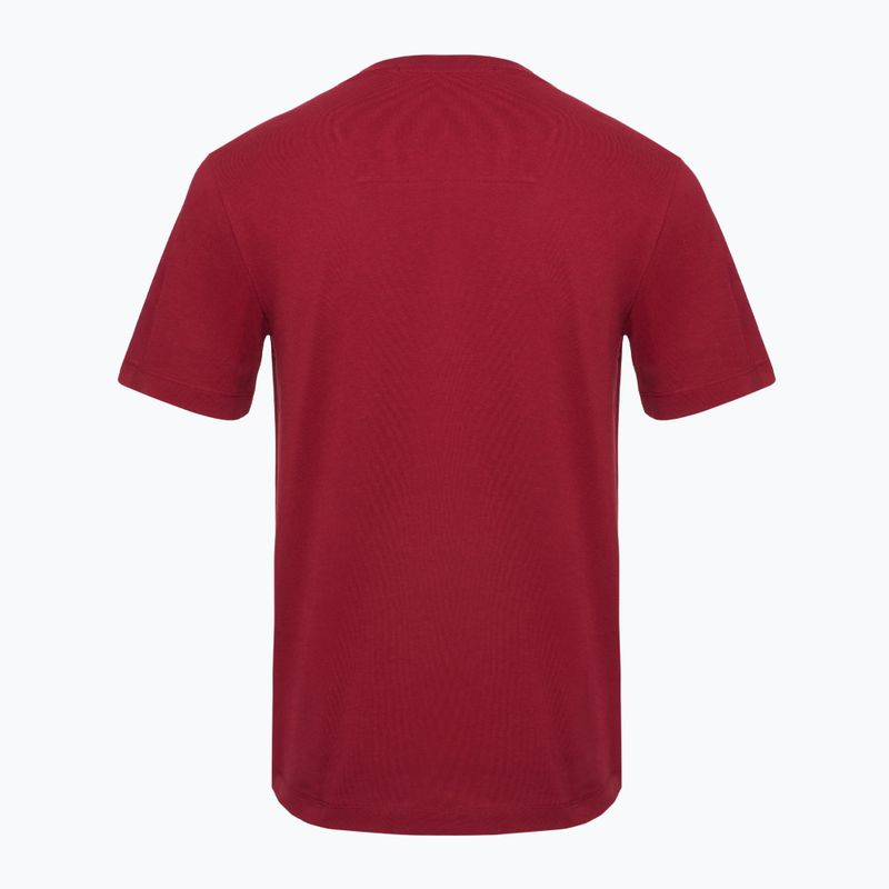 Koszulka męska Aeronautica Militare Essential burgundy 2