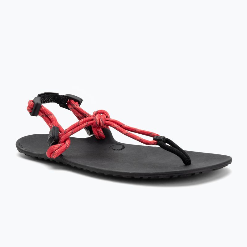 Sandały barefoot damskie Xero Shoes Genesis raspberry