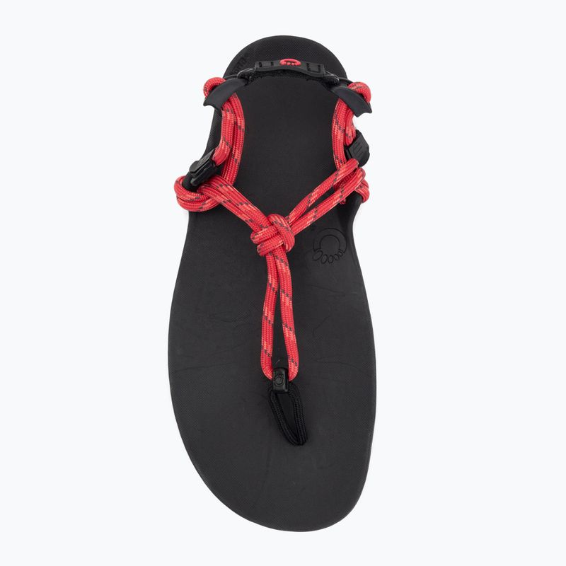 Sandały barefoot damskie Xero Shoes Genesis raspberry 5