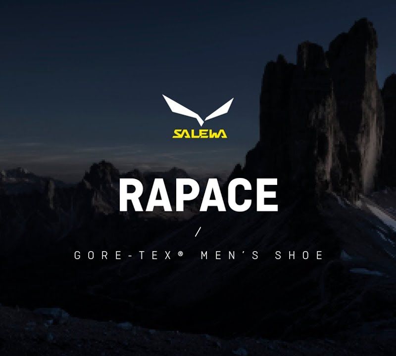 Buty wysokogórskie męskie Salewa Rapace GTX bergrot/holland 11
