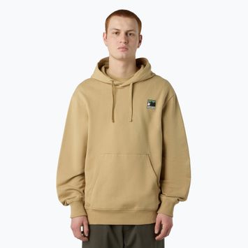 Bluza męska The North Face Mountain Logo Relaxed Hooded khaki stone
