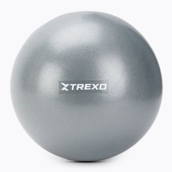 Piłka gimnastyczna mini XTREXO TXO-B4Z010-GY 20 cm szary