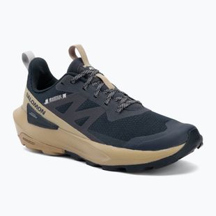 Buty turystyczne męskie Salomon Elixir Activ carbon/slate green/glacier