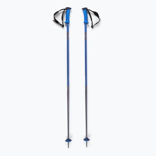 Kije narciarskie Salomon Polar Pro race blue