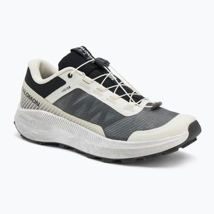 Buty do biegania męskie Salomon Vision vanilla ice/lunar/rock/black