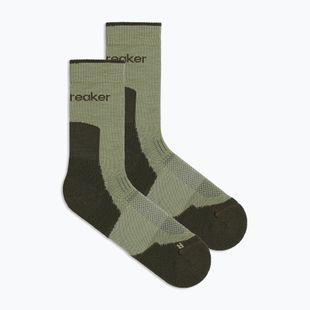 Skarpety damskie Icebreaker Merino Hike+ Light Crew lichen/dark loden