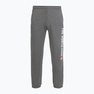 Spodnie męskie The North Face Varsity Graphic medium grey heather