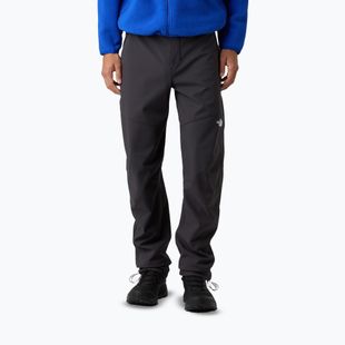 Spodnie trekkingowe męskie The North Face Dawn Turn asphalt grey