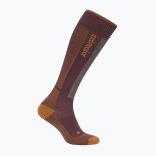 Skarpety narciarskie męskie Icebreaker Merino Ski+ java/trail/seaglass