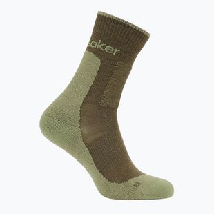 Skarpety męskie icebreaker Merino Hike+ Medium Crew loden/lichen