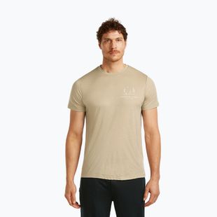 Koszulka męska icebreaker Merino 150 Tech Lite Peaceful Pass Tee flagstone