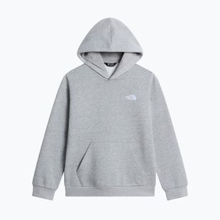 Bluza dziecięca The North Face Evolution Simple Dome Pullover Hood tnf pale grey heather