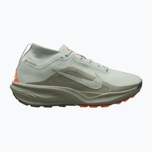 Buty do biegania męskie Nike ACG Pegasus Trail GORE-TEX Light Silver/Light Army/Light Silver