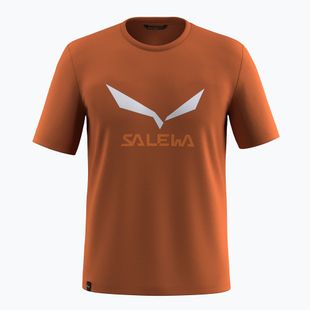 Koszulka męska Salewa Solidlogo Dry bombay brown